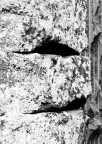 Il volto arcigno Il volto arcigno