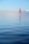 Il solitario Il solitario