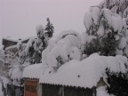 Nevicata del 26/27gennaio 2006