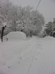Nevicata del 26/27gennaio 2006