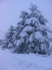 Nevicata del 26/27gennaio 2006