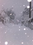 Nevicata del 26/27gennaio 2006