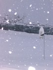 Nevicata del 26/27gennaio 2006