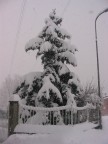 Nevicata del 26/27gennaio 2006