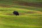 Poggiorsini Poggiorsini