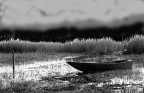 Trasimeno di sera Trasimeno di sera