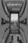 Biblioteca versione b/n Biblioteca versione b/n