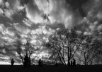 Lungotevere Lungotevere