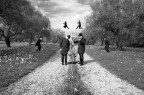 Il Confine Il Confine