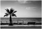 Malinconia... Malinconia...