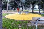 "coloriamo la città" "coloriamo la città"