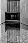 Riflessi Riflessi