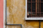 La Tengo per Dopo La Tengo per Dopo