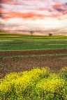 colori primaverili del Monferrato colori primaverili del Monferrato