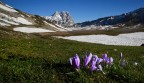 Foto scattata a Campo Imperatore (AQ)