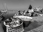 L'orate della pesca L'orate della pesca
