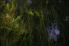 impressionismo nel fosso... impressionismo nel fosso...