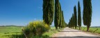 Toscana Toscana