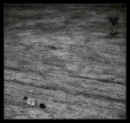 Noi siamo come farfalle che battono le ali per un giorno pensando che sia l'eternit�

Carl Sagan