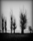 Onirica visione Onirica visione