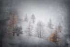 Nella tempesta Nella tempesta