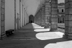 Certosa di Padula 1