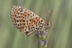 Macro_22Giu2025_1 Macro_22Giu2025_1