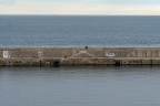 L'uomo e il mare L'uomo e il mare