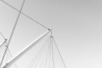 Linee Linee