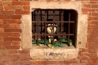 prigionia.. prigionia..