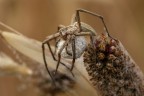 Macro_18Mag2025_8 Macro_18Mag2025_8