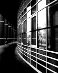 linee__________ linee__________