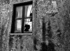 Il tocco del demonio Il tocco del demonio