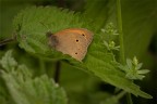 Macro_Mag2025a Macro_Mag2025a