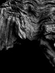 Il mito della caverna Il mito della caverna