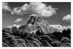 IMG_4104_BN IMG_4104_BN