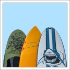 Pop Beach Art sea animals.