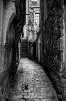 Rue Rue