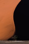 Alba alla duna 40 Alba alla duna 40