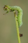 Macro_07Set2025_3 Macro_07Set2025_3