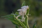 Macro_07Set2025_9 Macro_07Set2025_9