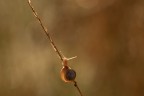 Macro_14Set2025_1 Macro_14Set2025_1