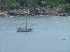 Solitudine Solitudine