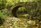 nel bosco... nel bosco...