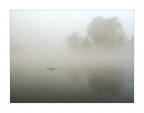 tre nella nebbia tre nella nebbia