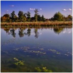 Al 'Parco della Pace'