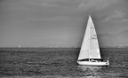 vela vela