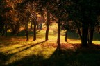 Frammento_1 Frammento_1