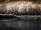 frammento_2 frammento_2
