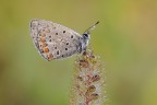 Macro_07Set2025_1 Macro_07Set2025_1
